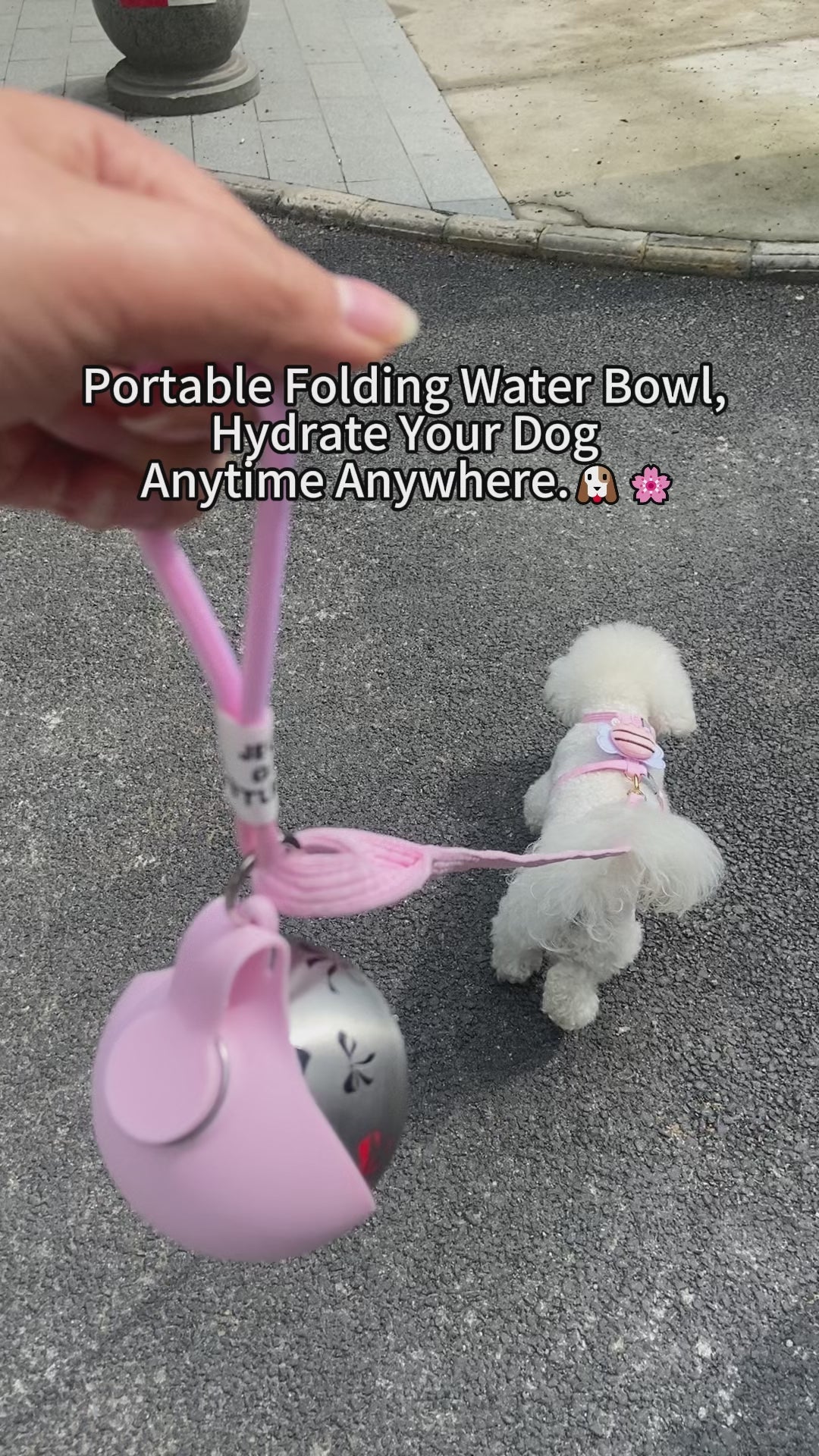 PupSphere - Whisker & Wag™ Portable Dog Water Bowl